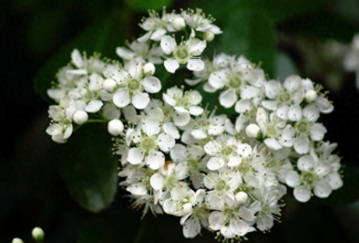 非常经典的好句子：人生没有下辈子，今生相遇即是缘(图8)