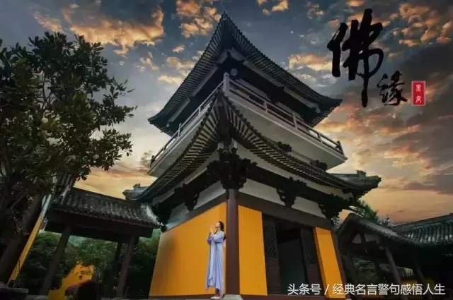 前世不欠，今生不见，今生相见，为了还债(图2)