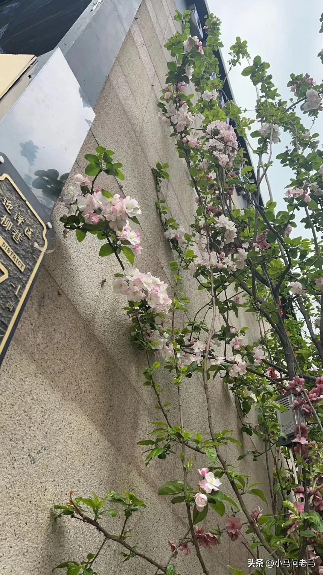 我知道你很累，对未来的那种无力感(图5)