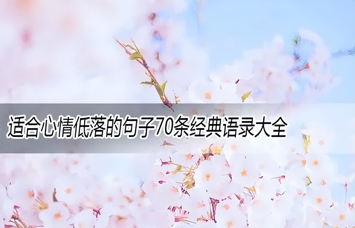 适合心情低落的句子70条经典语录大全(图1)