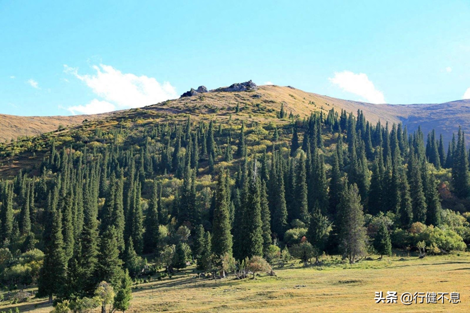 《江城子》：一首词，半生情，苏轼致结发妻子最深情哀婉的离歌(图11)