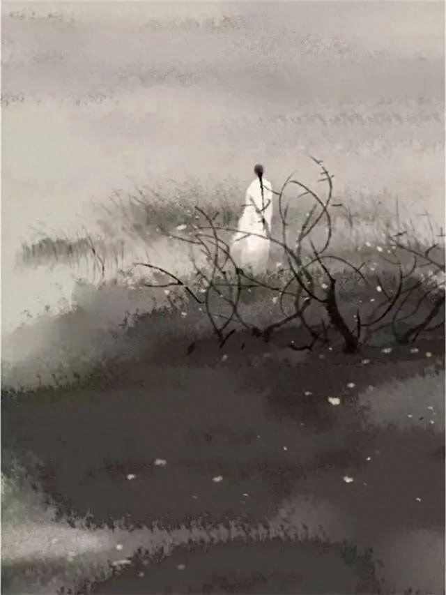 《浮生六记》唯美20句子，读懂了，经营婚姻不会太差(图4)