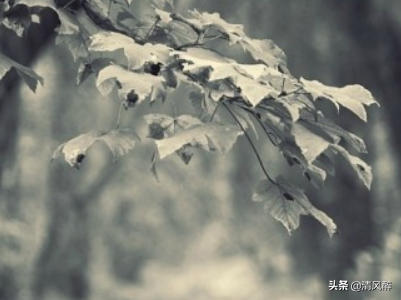 2019双十一疯狂购物的幽默说说(图1)