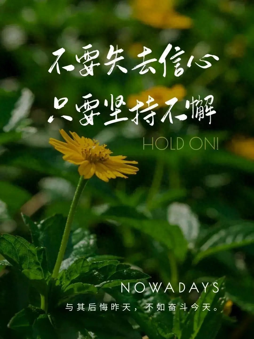 「2023.08.16」早安心语，正能量明净霸气语录句子，春去秋来问候(图1)