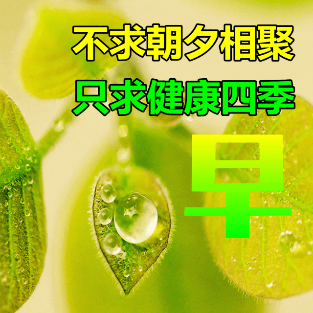 「2023.08.16」早安心语，正能量明净霸气语录句子，春去秋来问候(图11)