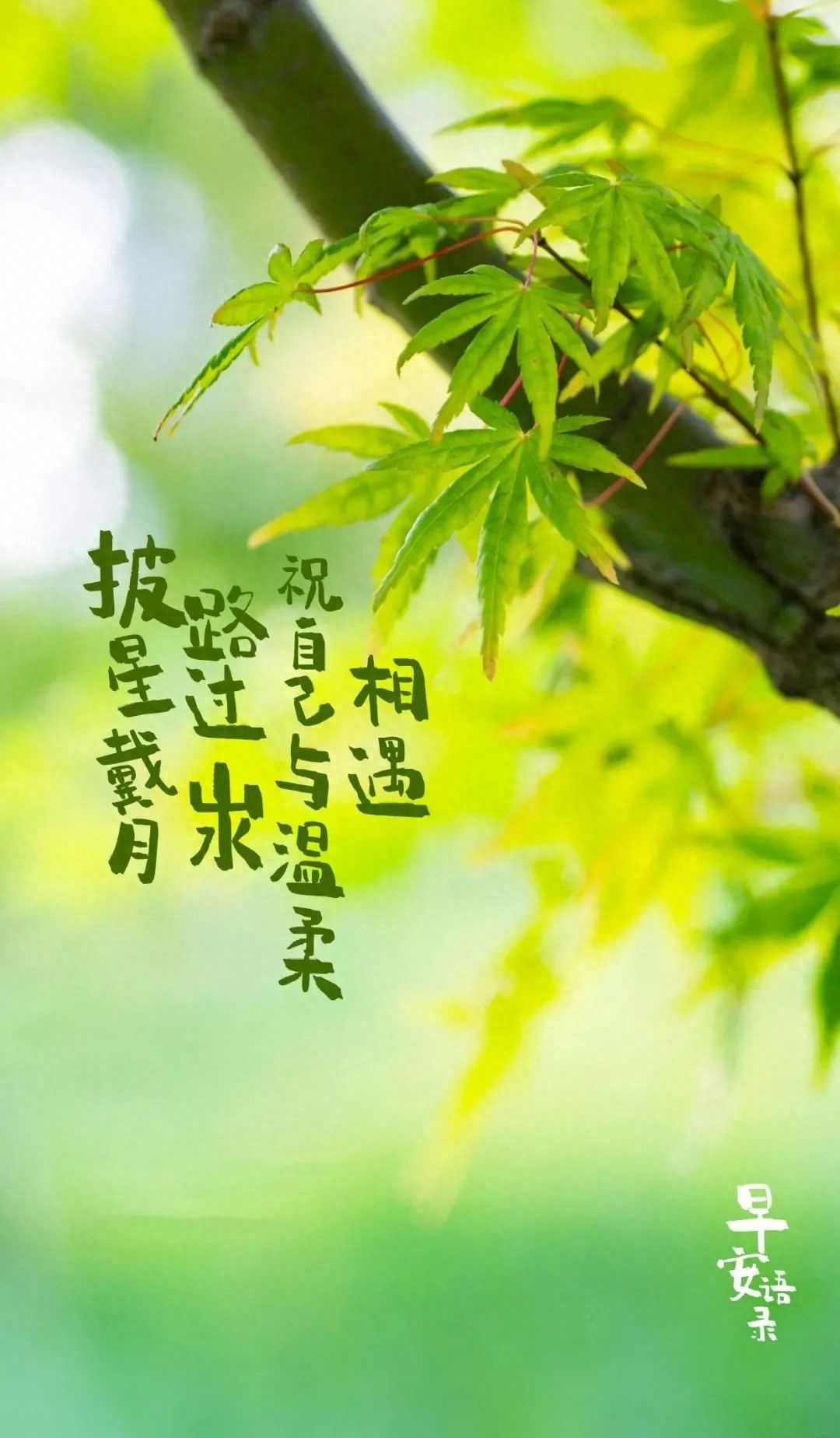 「2023.08.16」早安心语，正能量明净霸气语录句子，春去秋来问候(图12)