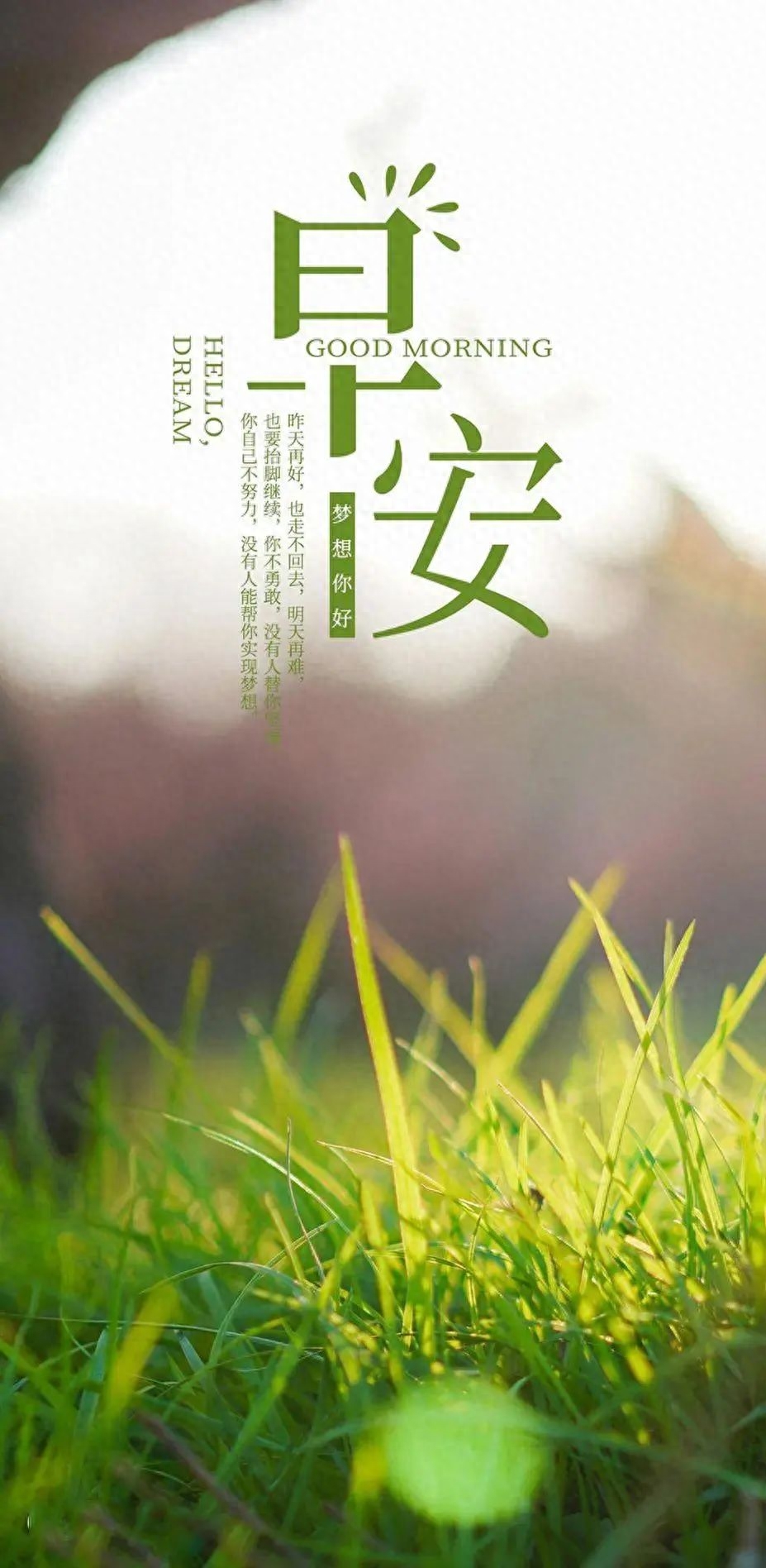 「2023.08.16」早安心语，正能量明净霸气语录句子，春去秋来问候(图13)