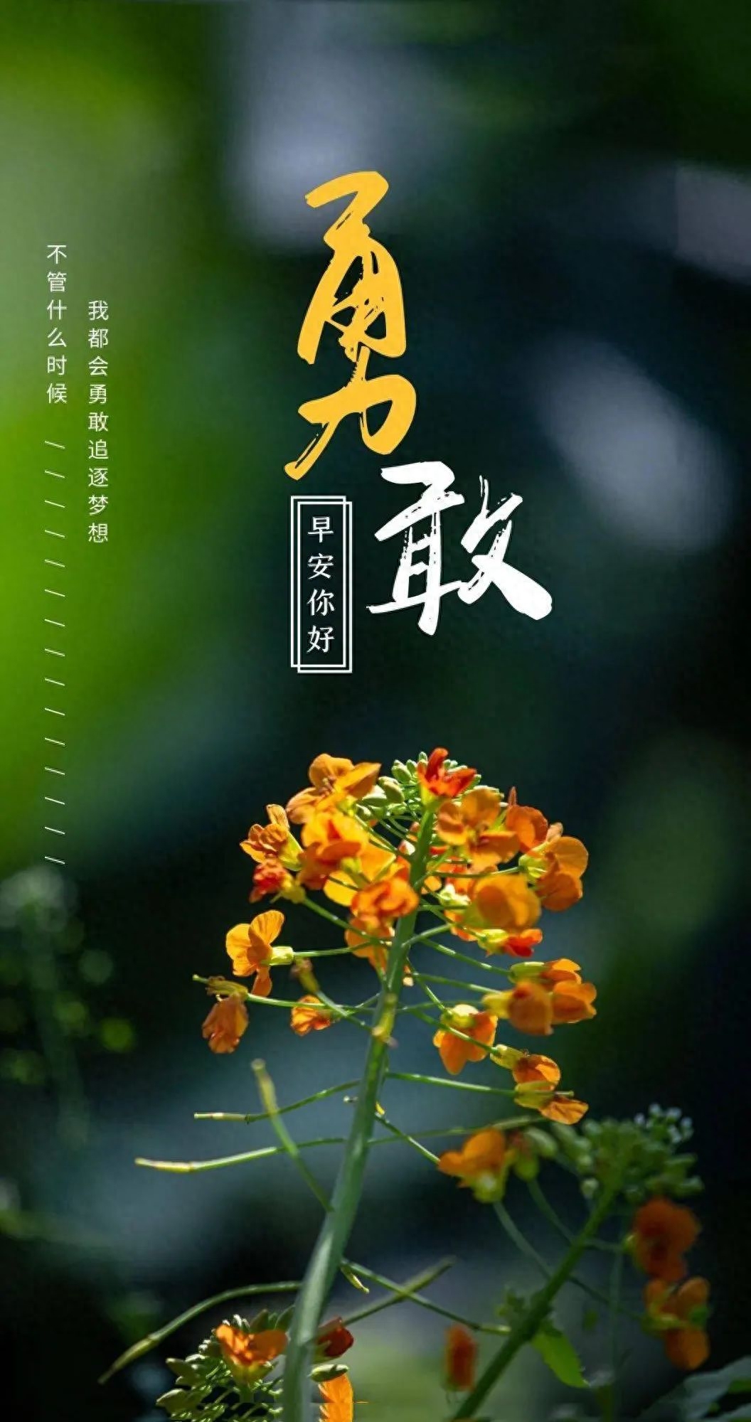 「2023.08.16」早安心语，正能量明净霸气语录句子，春去秋来问候(图15)