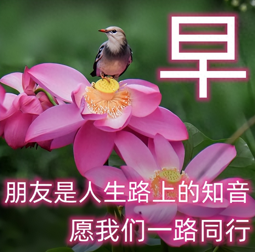 「2023.08.16」早安心语，正能量明净霸气语录句子，春去秋来问候(图22)