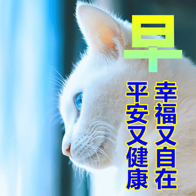 「2023.08.16」早安心语，正能量明净霸气语录句子，春去秋来问候(图25)