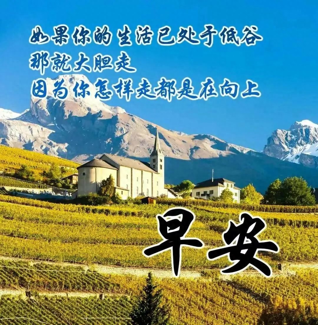 「2023.08.16」早安心语，正能量明净霸气语录句子，春去秋来问候(图38)