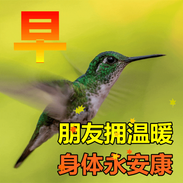 「2023.08.16」早安心语，正能量明净霸气语录句子，春去秋来问候(图46)