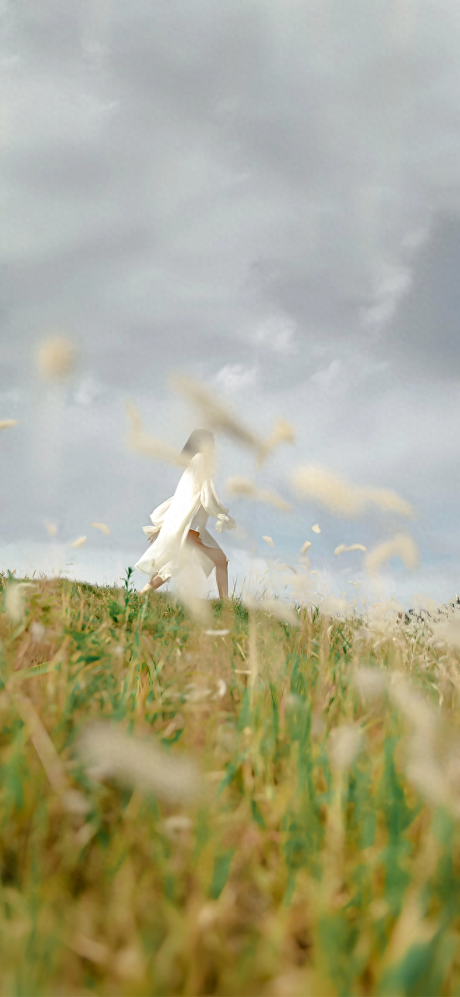 「2023.08.16」早安心语，正能量明净霸气语录句子，春去秋来问候(图49)