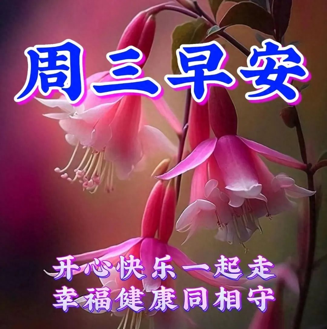 「2023.08.16」早安心语，正能量明净霸气语录句子，春去秋来问候(图50)