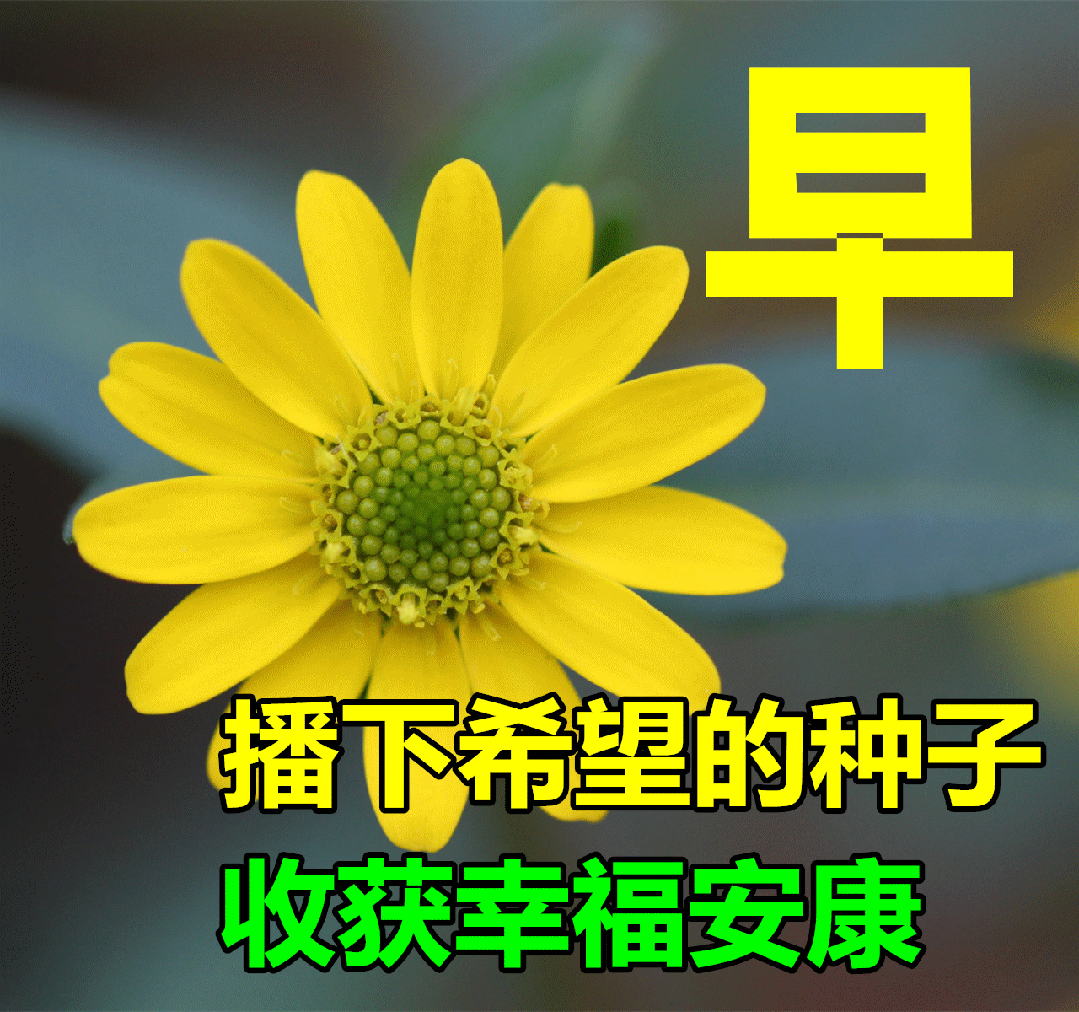 「2023.08.16」早安心语，正能量明净霸气语录句子，春去秋来问候(图61)