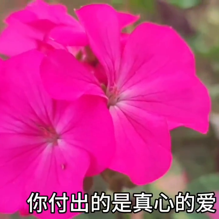 今天你过的好吗？这样的男人我不会要#总有一句话戳心(图1)