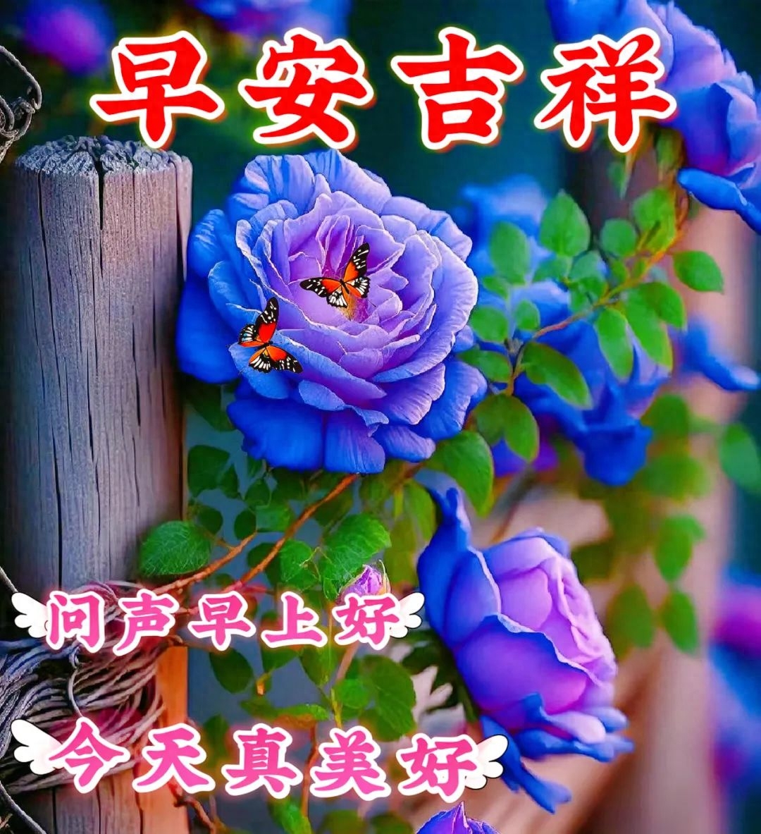 早上好问候朋友暖心句子，2023特别漂亮精美早安图片(图4)