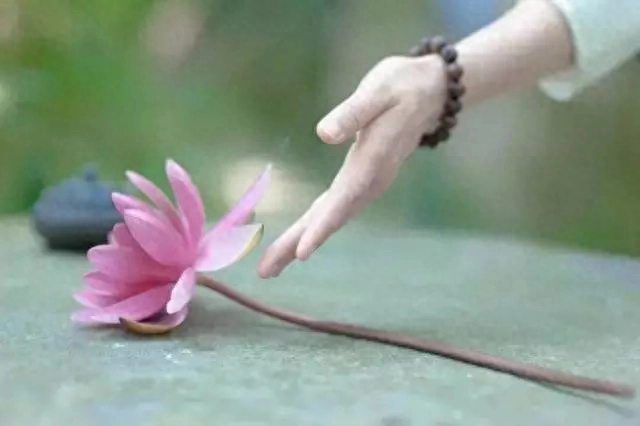 中国古代20大家规家训，持家、旺家、传家（收藏）(图3)