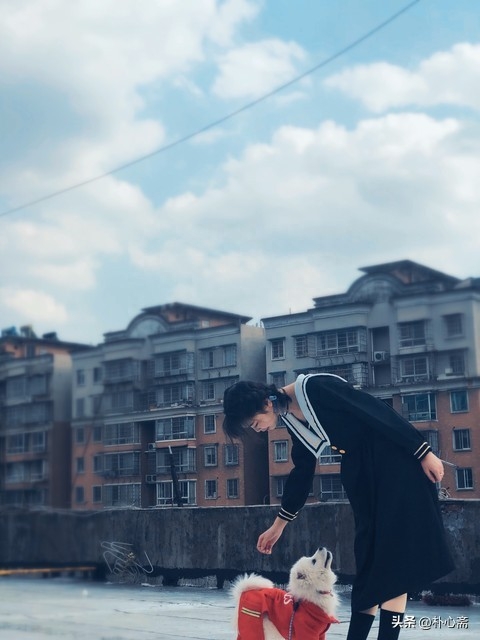 生活，犹如香气馥郁遇见朴素，犹如风花雪月遇见柴米油盐(图4)