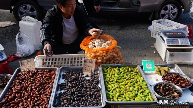生活，犹如香气馥郁遇见朴素，犹如风花雪月遇见柴米油盐(图7)