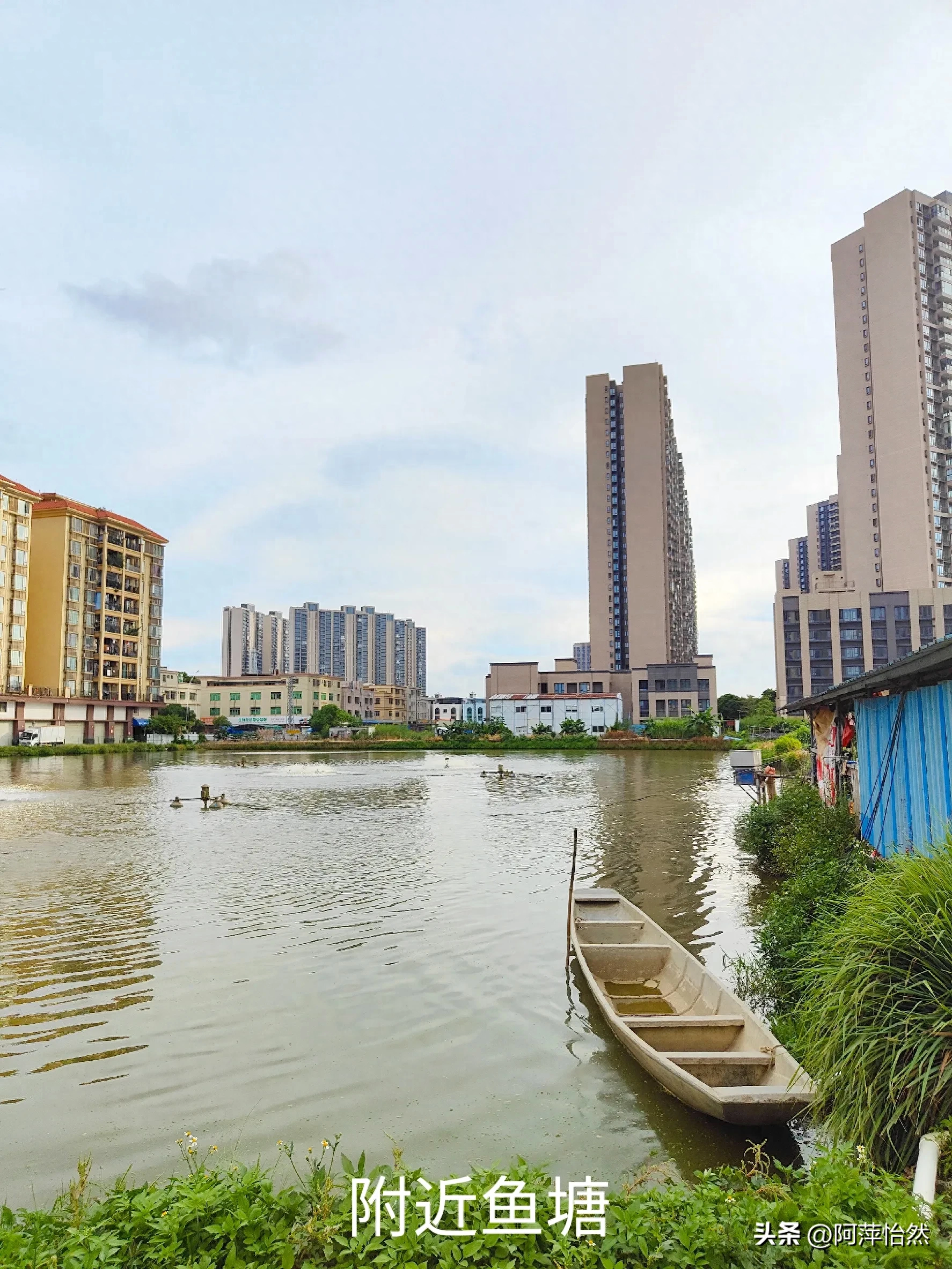 生活是多么美好，一日三餐，还有诗和远方(图1)