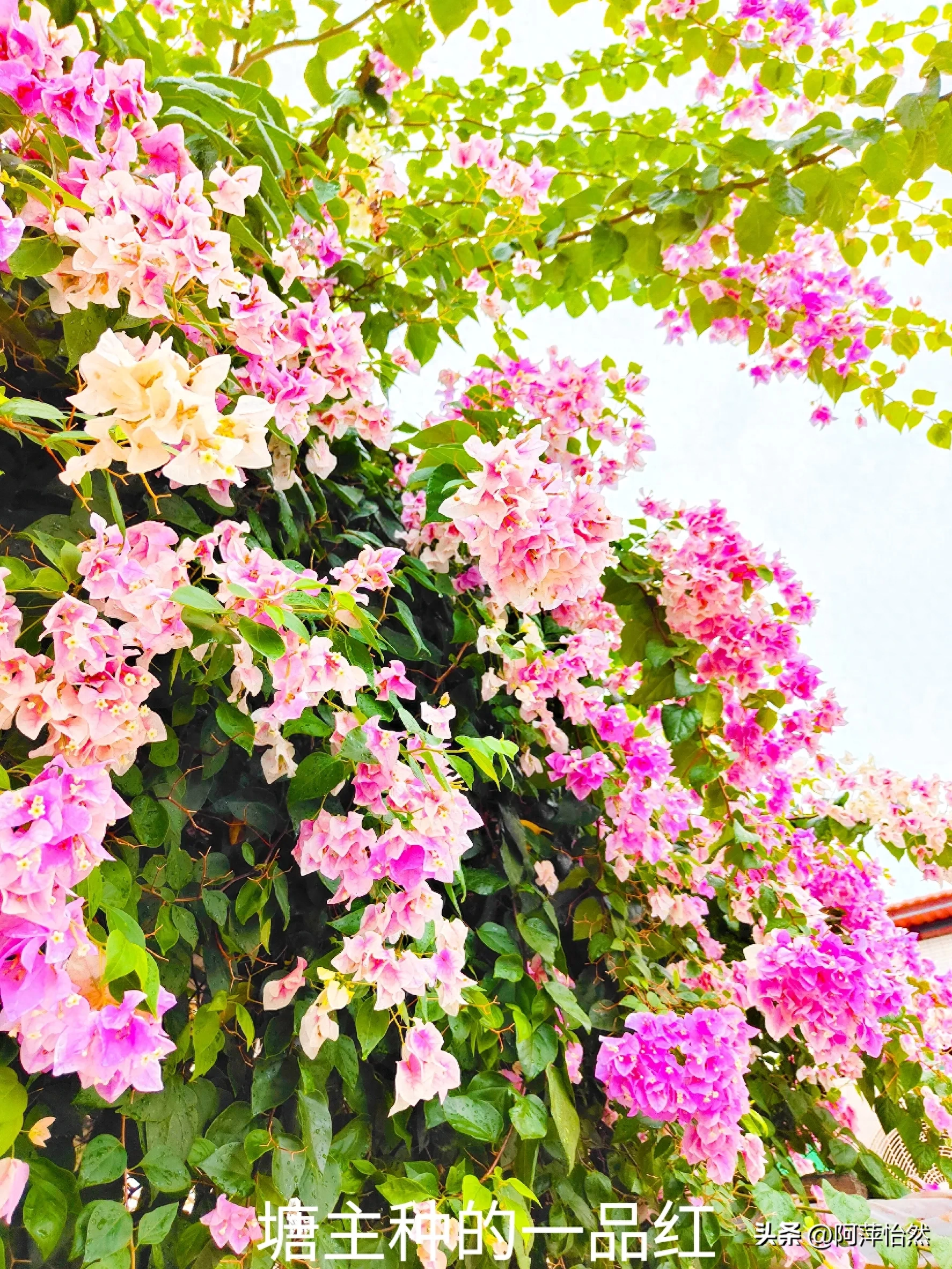 生活是多么美好，一日三餐，还有诗和远方(图2)