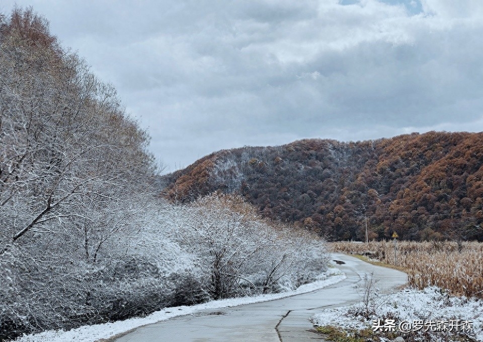 依山而建的森林度假民宿——春有百花秋有月，夏有凉风冬有雪(图2)