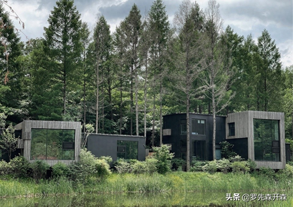 依山而建的森林度假民宿——春有百花秋有月，夏有凉风冬有雪(图9)