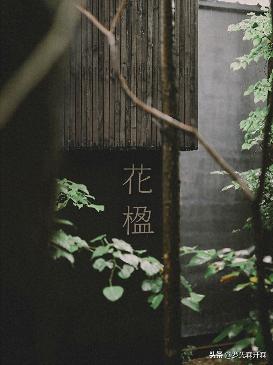 依山而建的森林度假民宿——春有百花秋有月，夏有凉风冬有雪(图11)