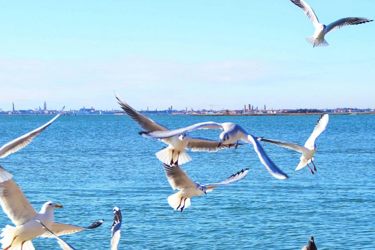 旅游文案：走遍山河万里 看最美的风景 品尝甜酸苦辣美食(图5)